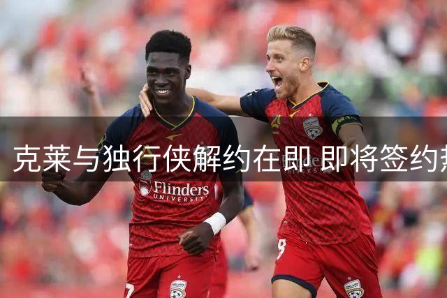 克莱与独行侠解约在即 即将签约热火辅佐字母哥
