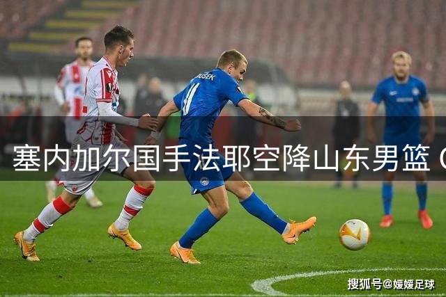 塞内加尔国手法耶空降山东男篮 CBA新赛季内线格局生变
